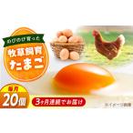 天心山 たまご20個 10個入り×2パック