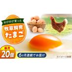 天心山 たまご 20個
