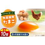 天心山 玉子 10個