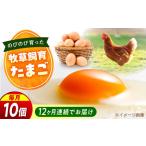 天心山 たまご 10個