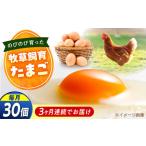 天心山 玉子 30個