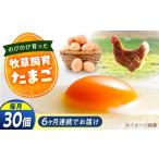 天心山 たまご 30個