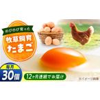 天心山 たまご 30個