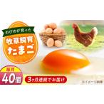 天心山 たまご 40個