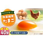 天心山 たまご 40個