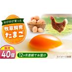 天心山 たまご 40個