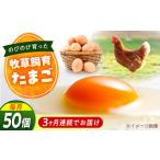 天心山 たまご 50個