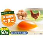 天心山 たまご 50個