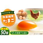 天心山 たまご 50個