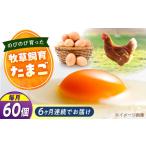 天心山 たまご 60個