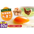 天心山 たまご 60個