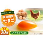 天心山 たまご 20個