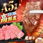 飛騨牛 A5 もも 300g