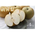 品種はおまかせ 旬の梨ミックス 4kg