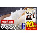 ふるさと納税 令和6年産 ひのひかり 無洗米 10kg|無洗米無洗米無洗米無洗米 熊本県菊池市