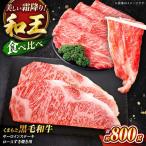 くまもと黒毛和牛 和王 サーロインステーキ