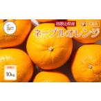 ふるさと納税 訳あり 森本農園の手選別 ネーブルオレンジ 約10kg 和歌山県産 サイズ混合 ［北海道・沖縄・離島配送不可］［RN47］［2026年1月.. 和歌山県海南市