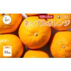 ふるさと納税 訳あり 森本農園の手選別 ネーブルオレンジ 約10kg 和歌山県産 サイズ混合 ［北海道・沖縄・離島配送不可］［RN47］［2026年1月.. 和歌山県高野町