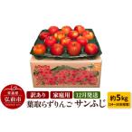 ふるさと納税 【レビューキャンペーン】【25年12月発送】りんご 訳あり家庭用【年内発送】葉取らず サンふじ 約5kg(14〜20玉程度)青森県特別栽.. 青森県弘前市