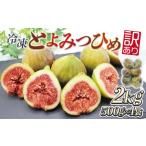 産いちじく とよみつひめ 冷凍パック2kg 500g×4袋