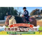 ★ROCKY★ 引馬体験チケット 10分