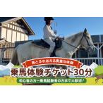 ★ROCKY★ 乗馬体験チケット 30分