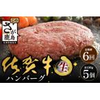 佐賀牛ハンバーグ 150g×5個