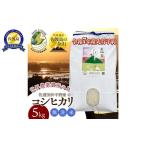 ふるさと納税 【先行予約】【新潟県佐渡】国仲平野産コシヒカリ<数量限定・生産地域限定> 令和7年産 精米【無洗米】5kg 送料無料 新潟県佐渡市