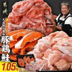 小分け3種セット 豚切り落とし250g