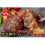 くまもと黒毛和牛 DREAMバーグ 100g×10個