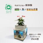 fu.... налог .... биотоп 25cm type основы + освещение комплект ( Anne потертость um) Hiroshima префектура восток Hiroshima город 