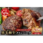 くまもと黒毛和牛 DREAMバーグ 100g×20個
