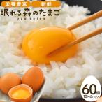 眠れる森のたまご 朝採れ卵60個 たまご