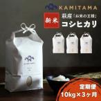 定期便 3か月 コシヒカリ 令和8年 10kg