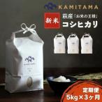 定期便 3か月 コシヒカリ 令和8年 5kg