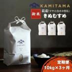 定期便 3か月 きぬむすめ 令和8年 10kg