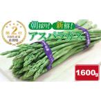 全国生産量 第2位 アスパラガス 1 600g