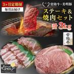 常陸牛サーロイン600g 300g×2枚 +美明豚400g