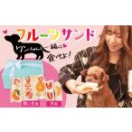 甘さ控えめ 八百屋が厳選したワンちゃん&飼い主様フルーツ…