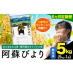 ふるさと納税 【6ヶ月定期便】阿蘇びより 無洗米 5kg (5kg×1袋)《お申込み翌月から出荷》 ｜国産米 人気米 熊本県産米 お米 熊本県南阿蘇村