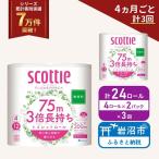 定期便 トイレットペーパー ダブル スコッティ