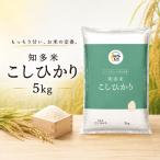 知多米こしひかり5kg■
