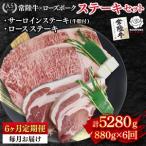 常陸牛サーロインステーキ600g 300g×2枚 +ローズポークロー…