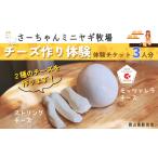 体験チケット さーちゃんミニヤギ牧場 チーズ作り体験チケ…