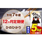 ふるさと納税 【12ヶ月定期便】令和7年産 無洗米 5kg 米 ひのひかり《お申込み翌月から出荷》熊本県 菊池市 国産 熊本県産 白米 精米 無洗米 送.. 熊本県菊池市