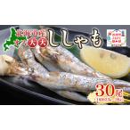 ししゃも魚貝類オス大大干物 ししゃも