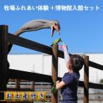 牧場ふれあい体験+博物館入館セット