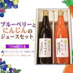 ブルーベリーとにんじんのジュースセット
