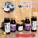 ブルーベリー加工品フルセット