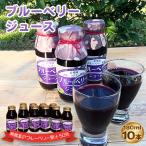 ブルーベリージュース 180ml